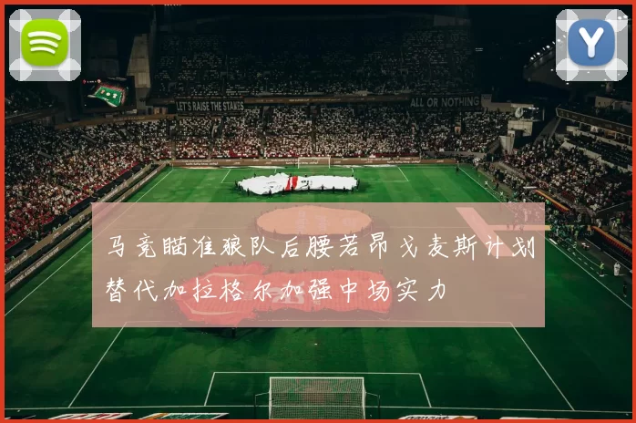 马竞瞄准狼队后腰若昂戈麦斯计划替代加拉格尔加强中场实力